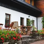 Cyborga Stronie Śląskie