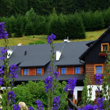Chata Cyborga Bed & Breakfast *