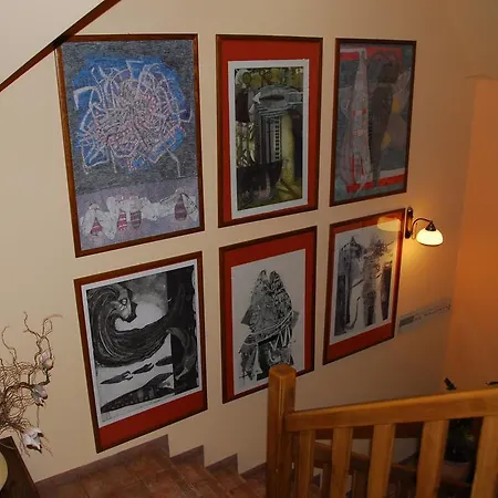 Cyborga Stronie Śląskie