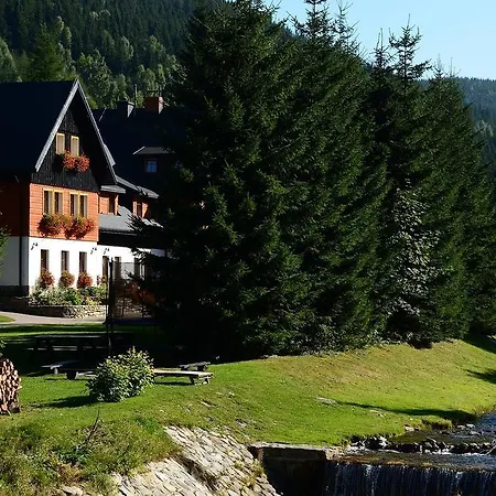 Cyborga Bed & Breakfast Stronie Śląskie