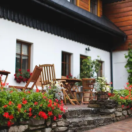 Cyborga Stronie Śląskie