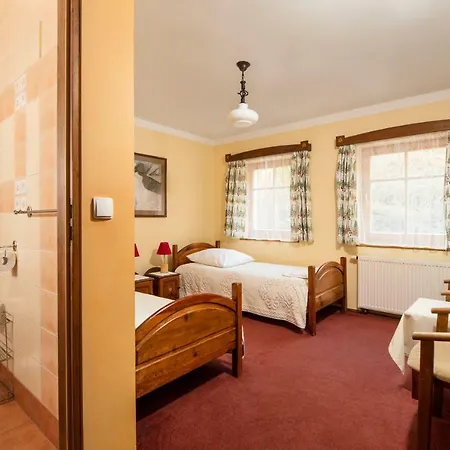 Cyborga Stronie Śląskie