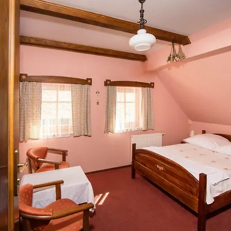 Cyborga Bed & Breakfast Stronie Śląskie