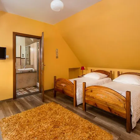 Cyborga Stronie Śląskie