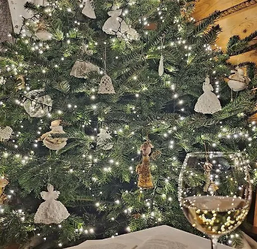 Cyborga Nocleg ze śniadaniem Stronie Śląskie