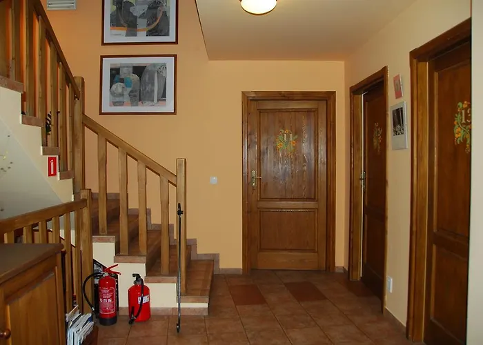 Cyborga Stronie Śląskie