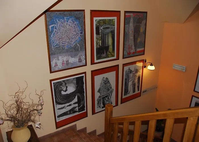 Cyborga Stronie Śląskie