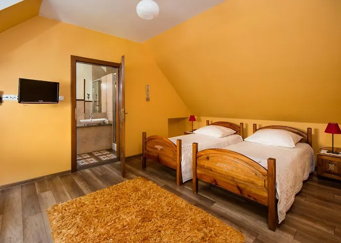 Cyborga Stronie Śląskie